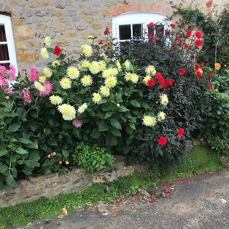 The Cottage Abbotsbury Eksteriør billede