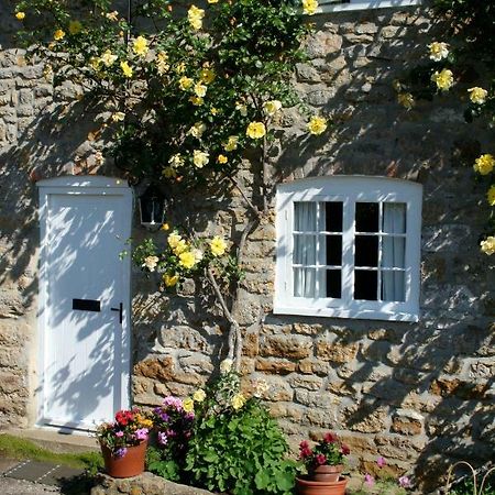 The Cottage Abbotsbury Eksteriør billede