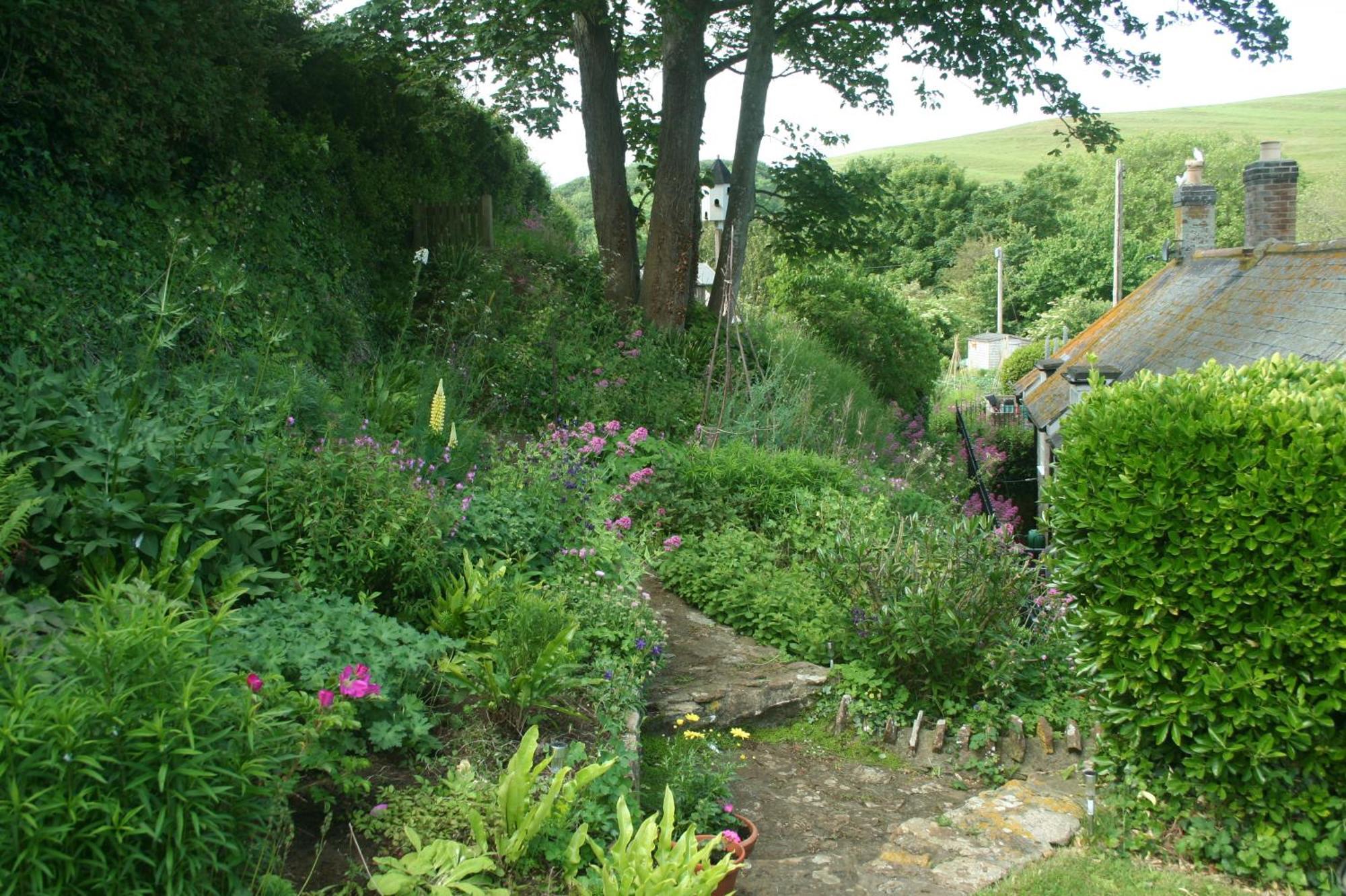 The Cottage Abbotsbury Eksteriør billede