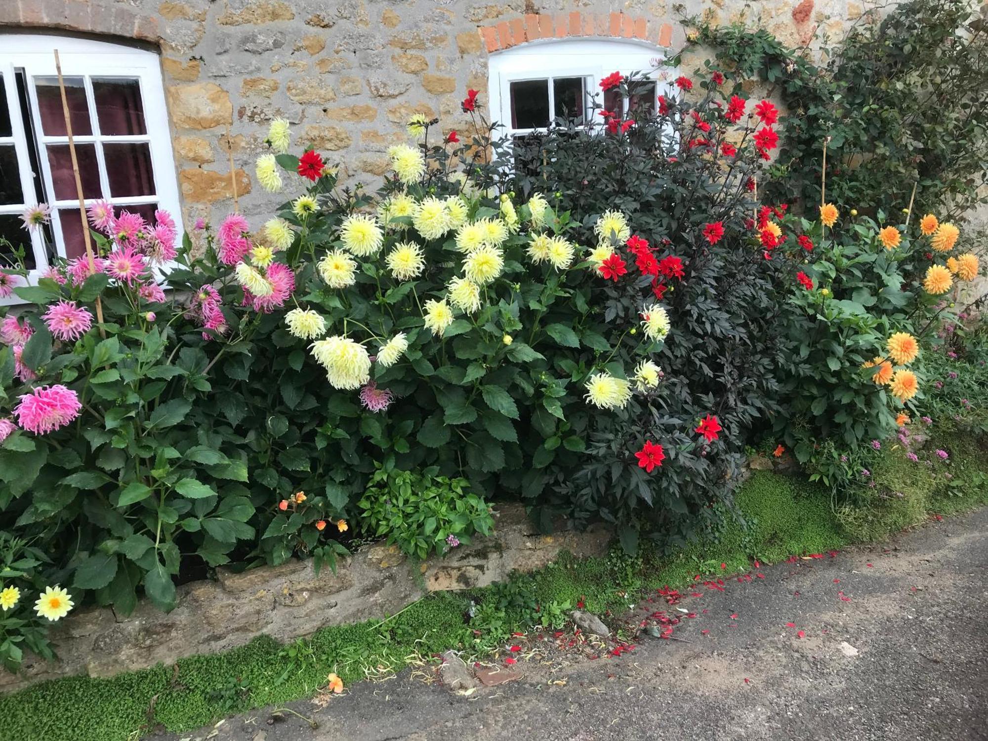 The Cottage Abbotsbury Eksteriør billede
