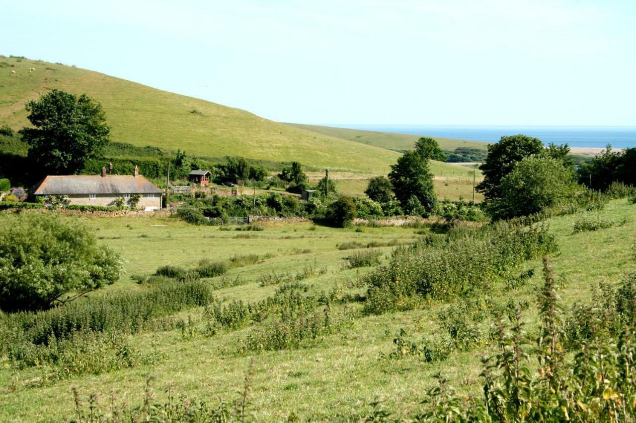 The Cottage Abbotsbury Eksteriør billede