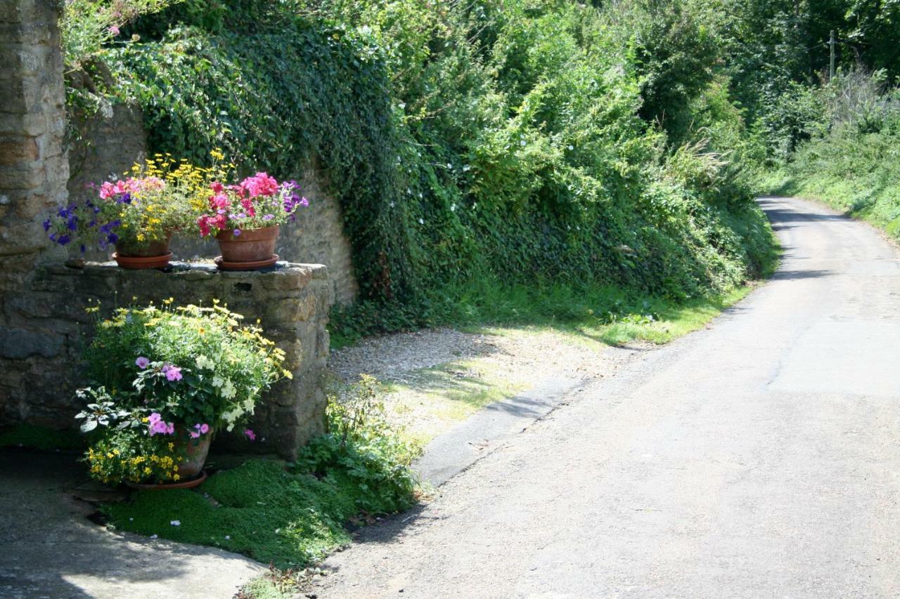 The Cottage Abbotsbury Eksteriør billede