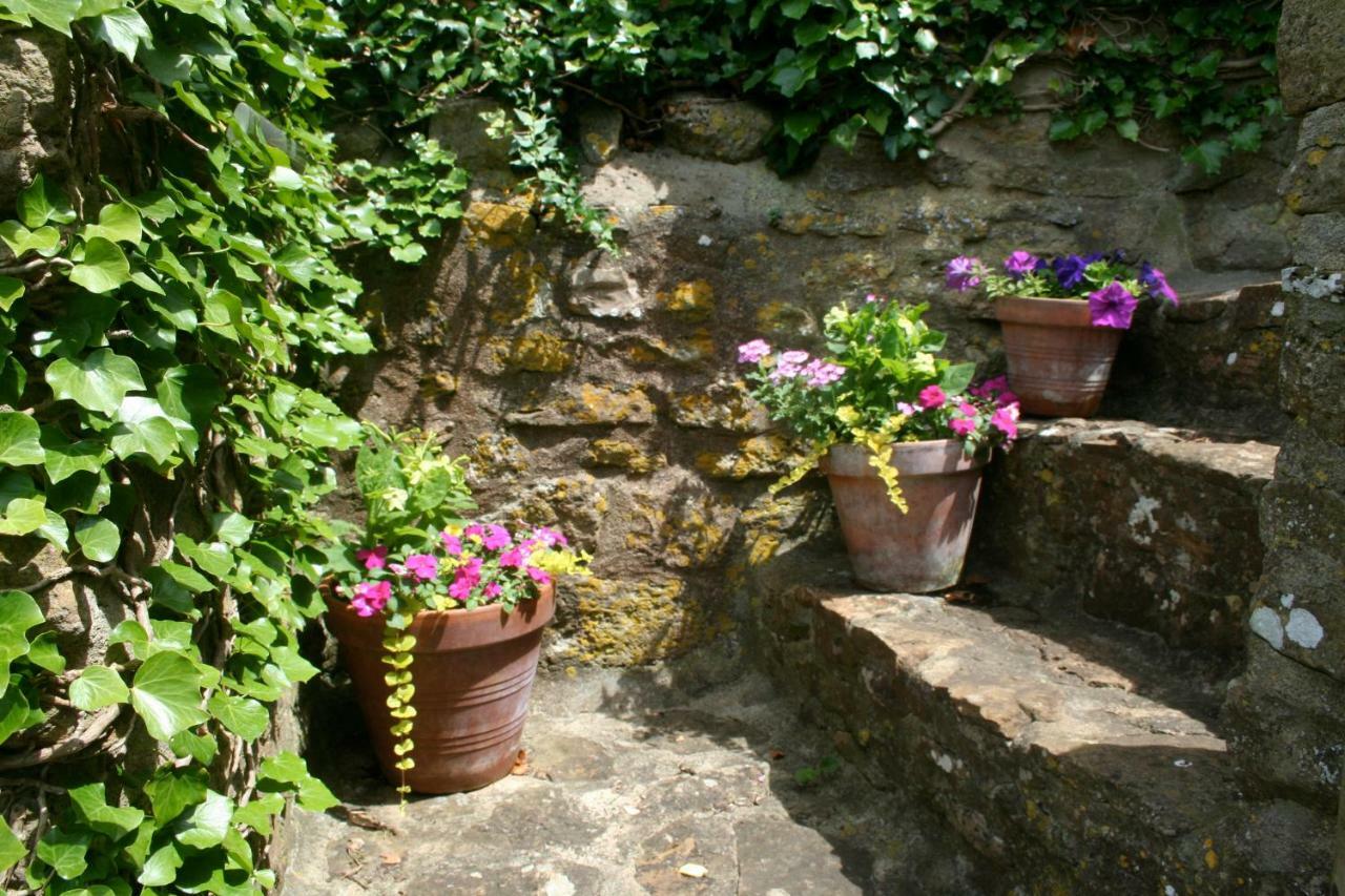 The Cottage Abbotsbury Eksteriør billede