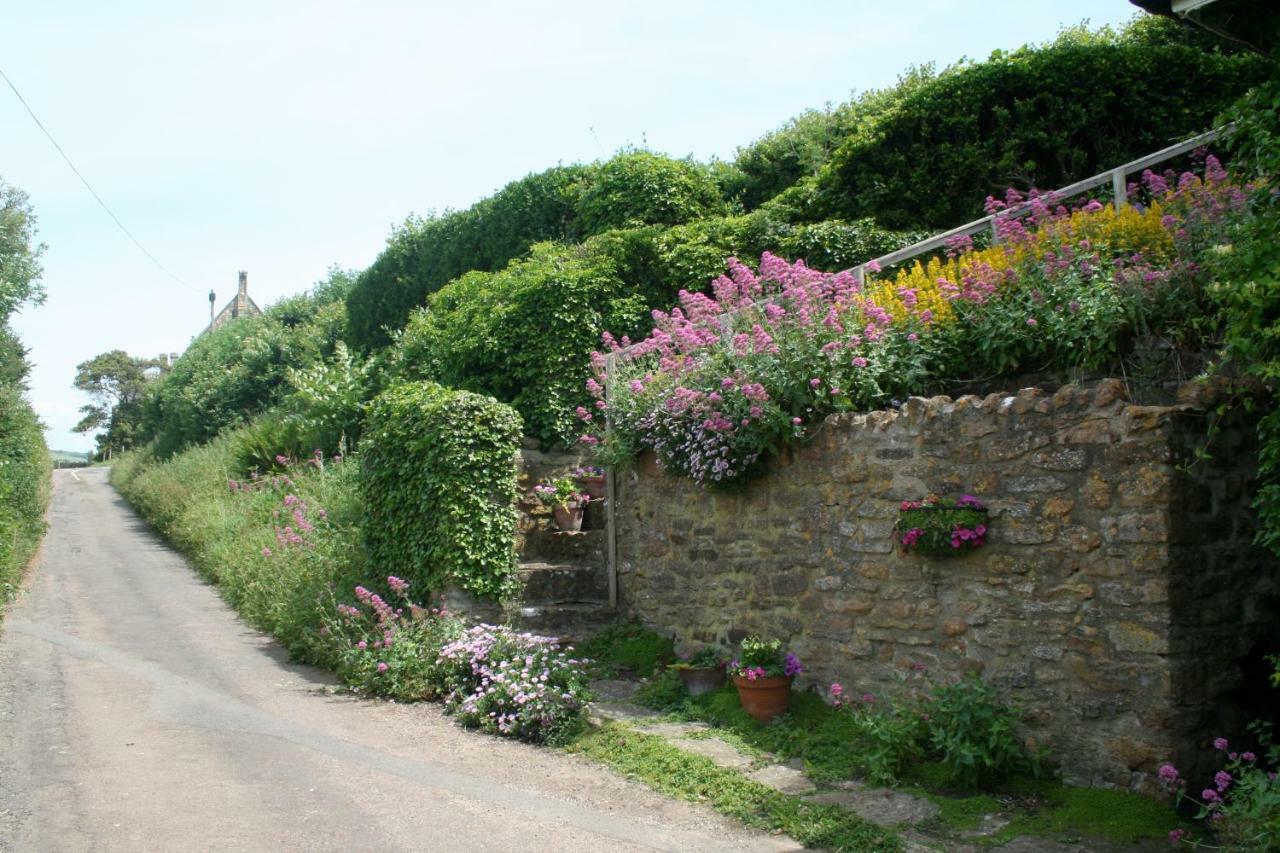 The Cottage Abbotsbury Eksteriør billede